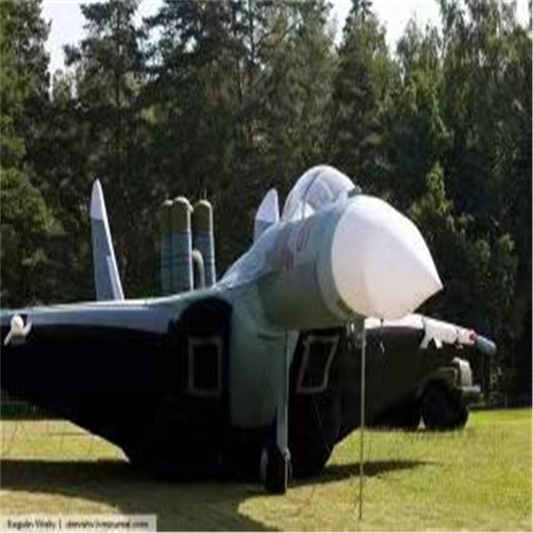 阿勒泰充气模型飞机制造商家